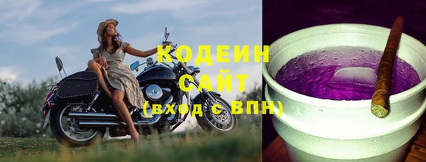 гидра Богданович
