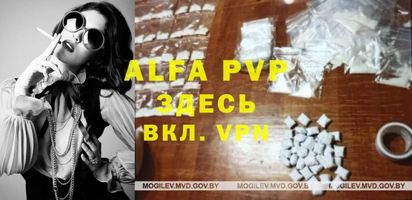 прущие грибы Белокуриха