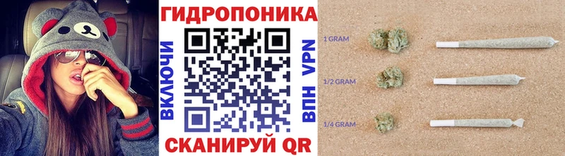 Бошки Шишки марихуана Дубна